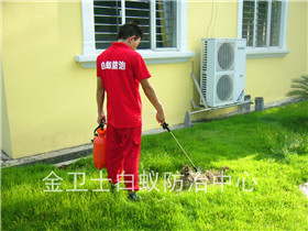 中海怡翠白蟻防治