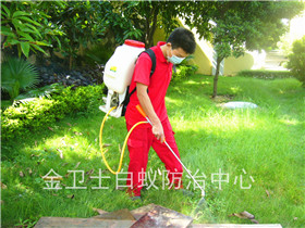陽光棕櫚園白蟻防治