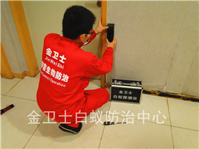 深圳市東馳貿(mào)易公司白蟻防治服務(wù)