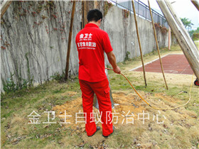 深圳南山文德福花園白蟻防治服務(wù)