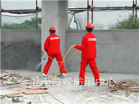 石巖發(fā)射機(jī)房白蟻預(yù)防
