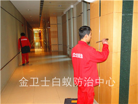 華為公司白蟻防治