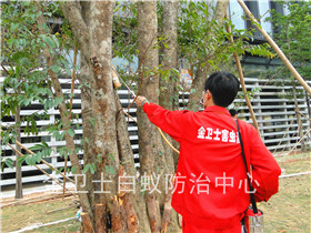 金域藍(lán)灣白蟻防治