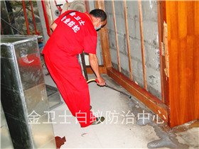 深圳福田八卦嶺鵬盛村白蟻防治服務(wù)
