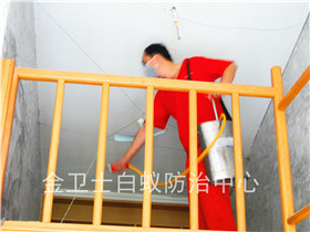 宣嘉華庭白蟻防治