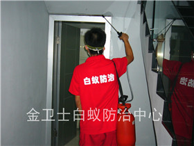 寶安第二高級中學白蟻預防工程