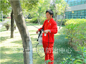 華富街道辦事處辦公樓白蟻防治服務(wù)