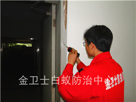 都市花園白蟻防治