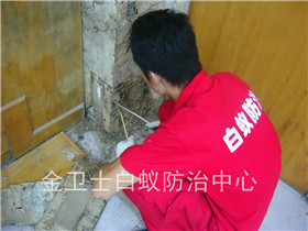 鹽田倚天閣半山別墅區(qū)活體白蟻滅治工程