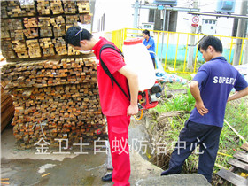 深圳奧美斯辦公家私廠定期白蟻防治服務(wù)