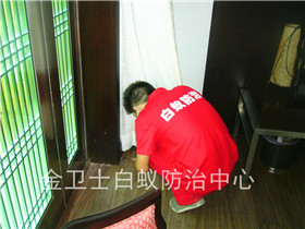 中國電信深圳分公司營業(yè)廳白蟻防治服務