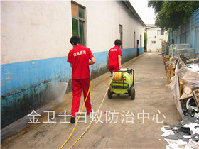 友利電電子(深圳)有限公司廠區(qū)白蟻防治服務