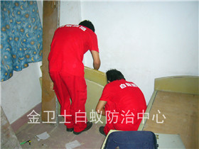 偉創(chuàng)力塑膠科技（深圳）有限公司廠區(qū)除四害服務