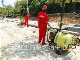 深圳市橫崗荷坳新村白蟻防治服務(wù)