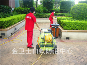 深圳上梅林匯龍花園白蟻防治服務(wù)