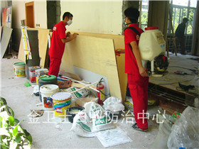 沙頭角云深處別墅區(qū)白蟻預防工程
