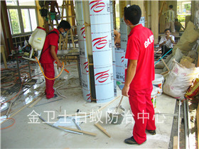 中國移動深圳分公司營業(yè)廳白蟻防治