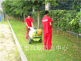 深圳龍崗區(qū)愉林新苑白蟻滅治服務(wù)