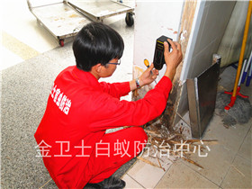深圳福田區(qū)鵬益花園白蟻防治服務(wù)
