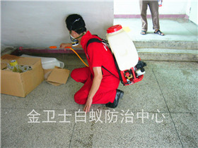 福田區(qū)東方玫瑰花園白蟻防治服務(wù)