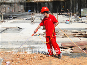 龍崗昌華生物醫(yī)學(xué)公司白蟻防治服務(wù)