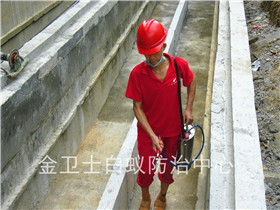 深圳福田黨校段電纜溝白蟻預(yù)防工程