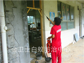 龍崗布吉青青家園花園白蟻防治服務(wù)