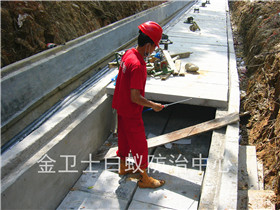 坪山盤梓線高壓電纜溝白蟻防治工程