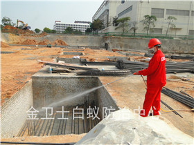 深圳南山麗湖中學(xué)土建白蟻預(yù)防工程