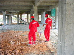光明區(qū)帝光科技園土建白蟻預(yù)防工程