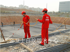 東江科技工業(yè)園土建白蟻預(yù)防工程