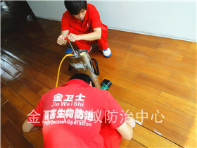 布吉桂芳園龍泉?jiǎng)e墅白蟻防治服務(wù)