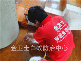 福田區(qū)城中雅苑花園白蟻防治服務(wù)