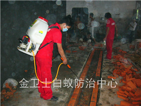 寶安觀瀾高爾夫曉峰居白蟻防治服務(wù)