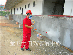 寶安龍華大浪賓寶公司白蟻滅治服務(wù)