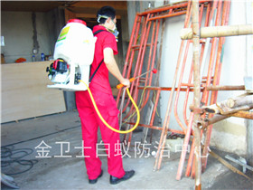 龍崗五聯(lián)奧美斯家私廠白蟻防治服務(wù)