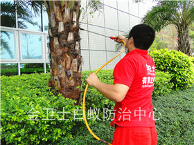 深圳福田區(qū)雅頌居花園白蟻防治服務(wù)
