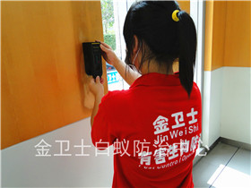 寶安福永萬福人家花園白蟻滅治服務(wù)