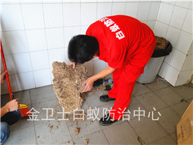深圳龍崗布吉德?；▓@白蟻防治服務(wù)