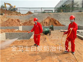 公明實(shí)驗(yàn)學(xué)校土建白蟻預(yù)防工程
