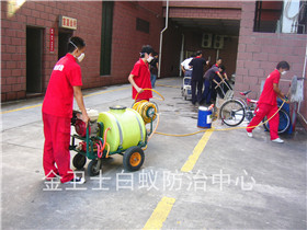 寶安松崗中海西岸華府白蟻防治服務(wù)