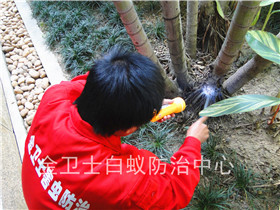 圣莫麗斯白蟻防治