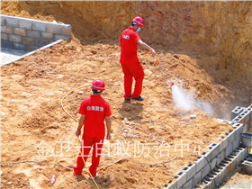 公明普利斯科廠新建白蟻預(yù)防服務(wù)